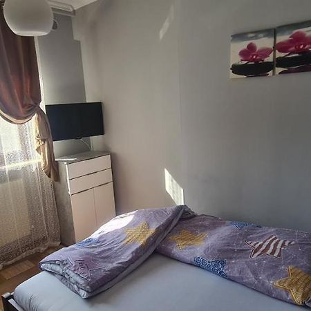 Comfort Home Apartment 1 Petroşani Exterior foto