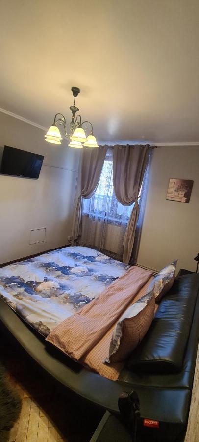 Comfort Home Apartment 1 Petroşani Exterior foto